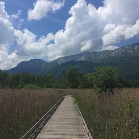 Kemping Lakeside Cabin 4*